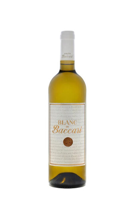 Meknès "Blanc de Baccari" **BIO - Dom. de Baccari - 2023